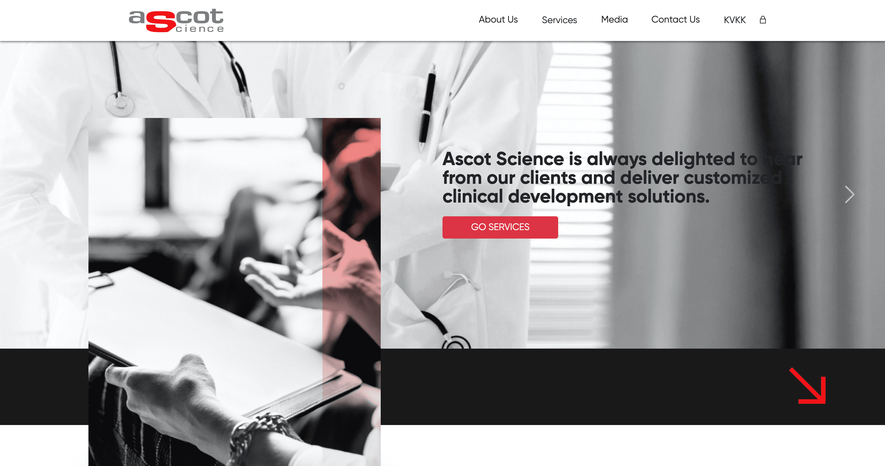 Ascot Science Screenshot 1