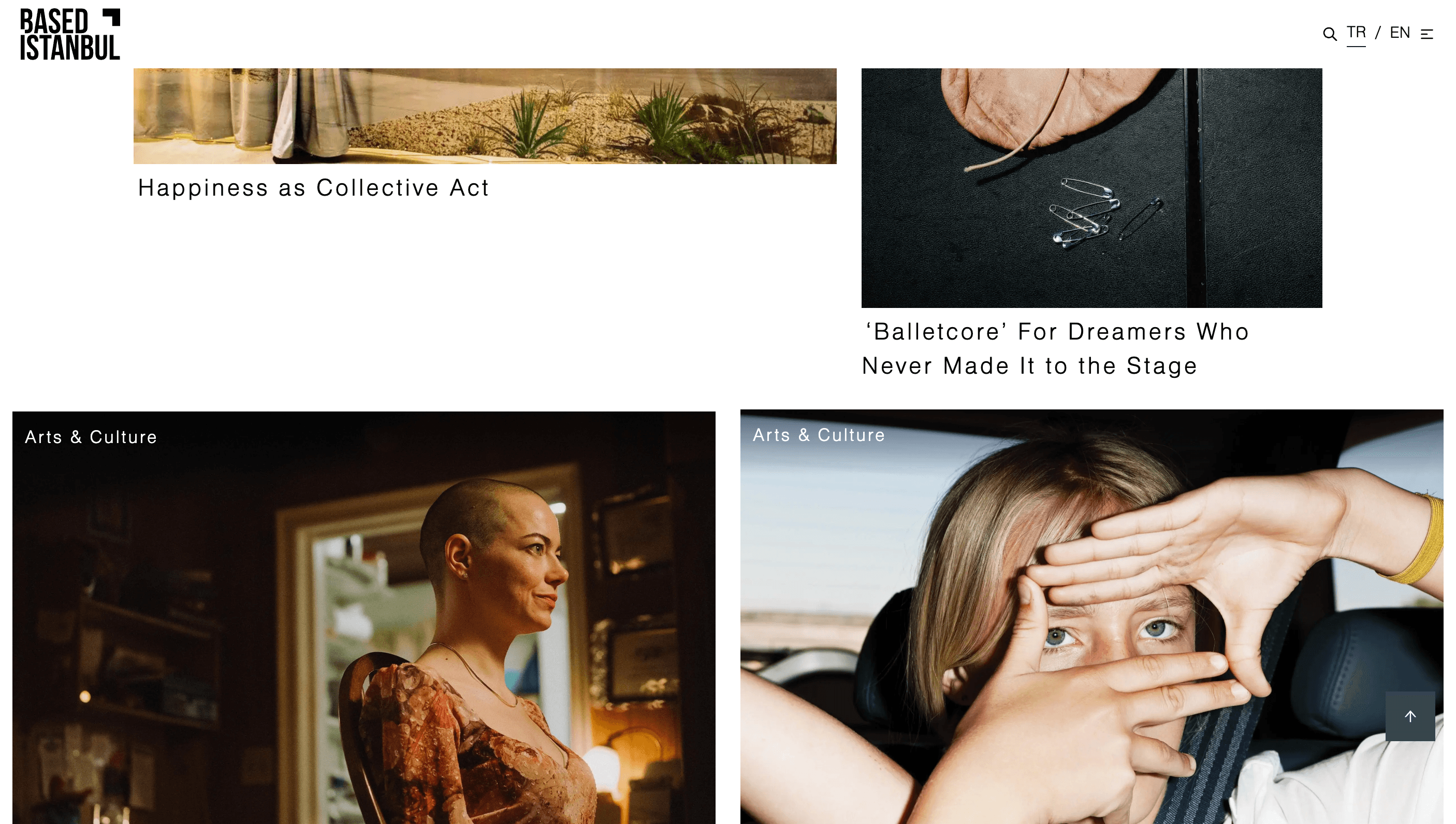 Based Istanbul Screenshot 3